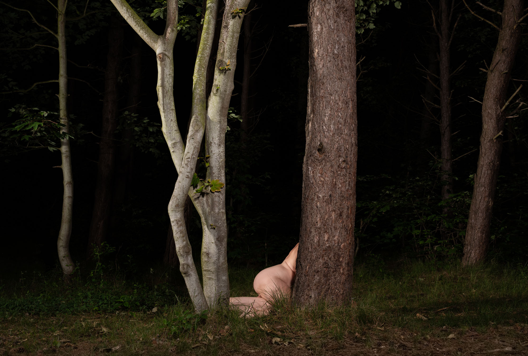 Ameland #02 Ameland #02