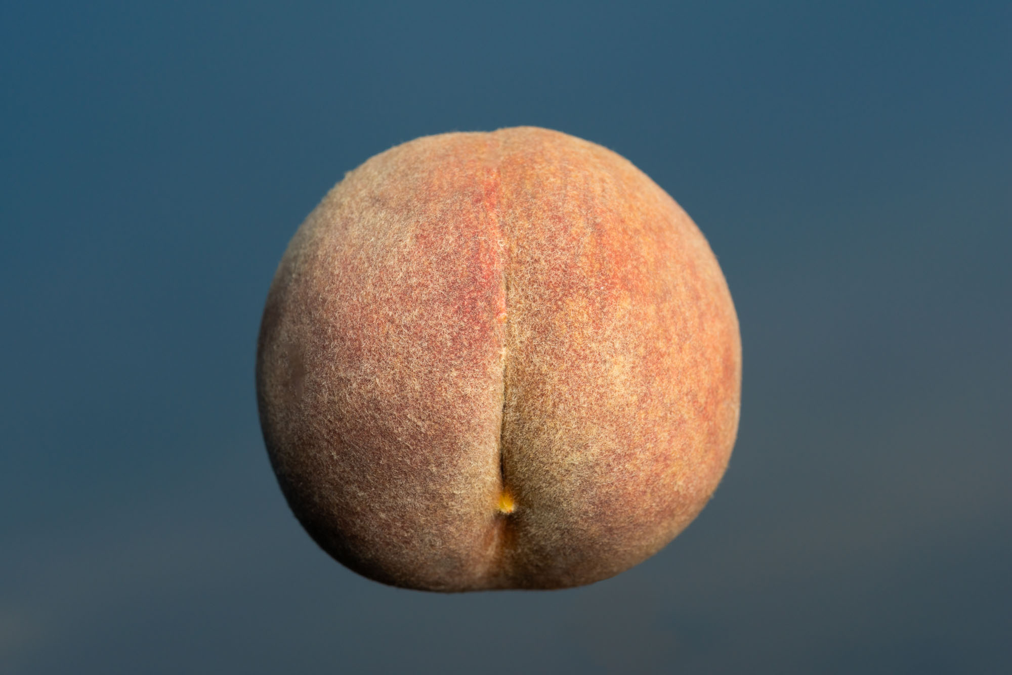 Sexuality #02 Sexuality #02