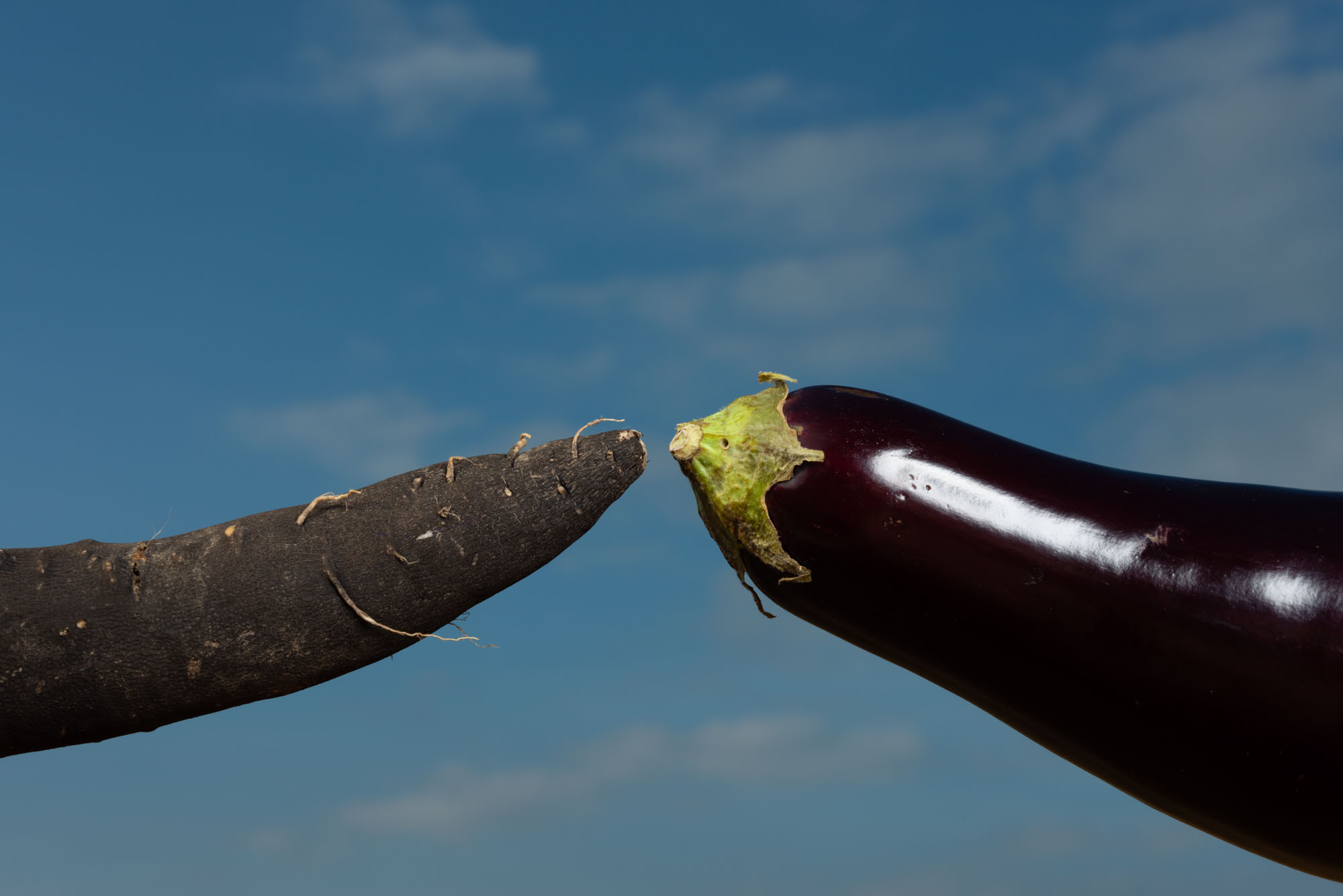 Sexuality #04 Sexuality #04