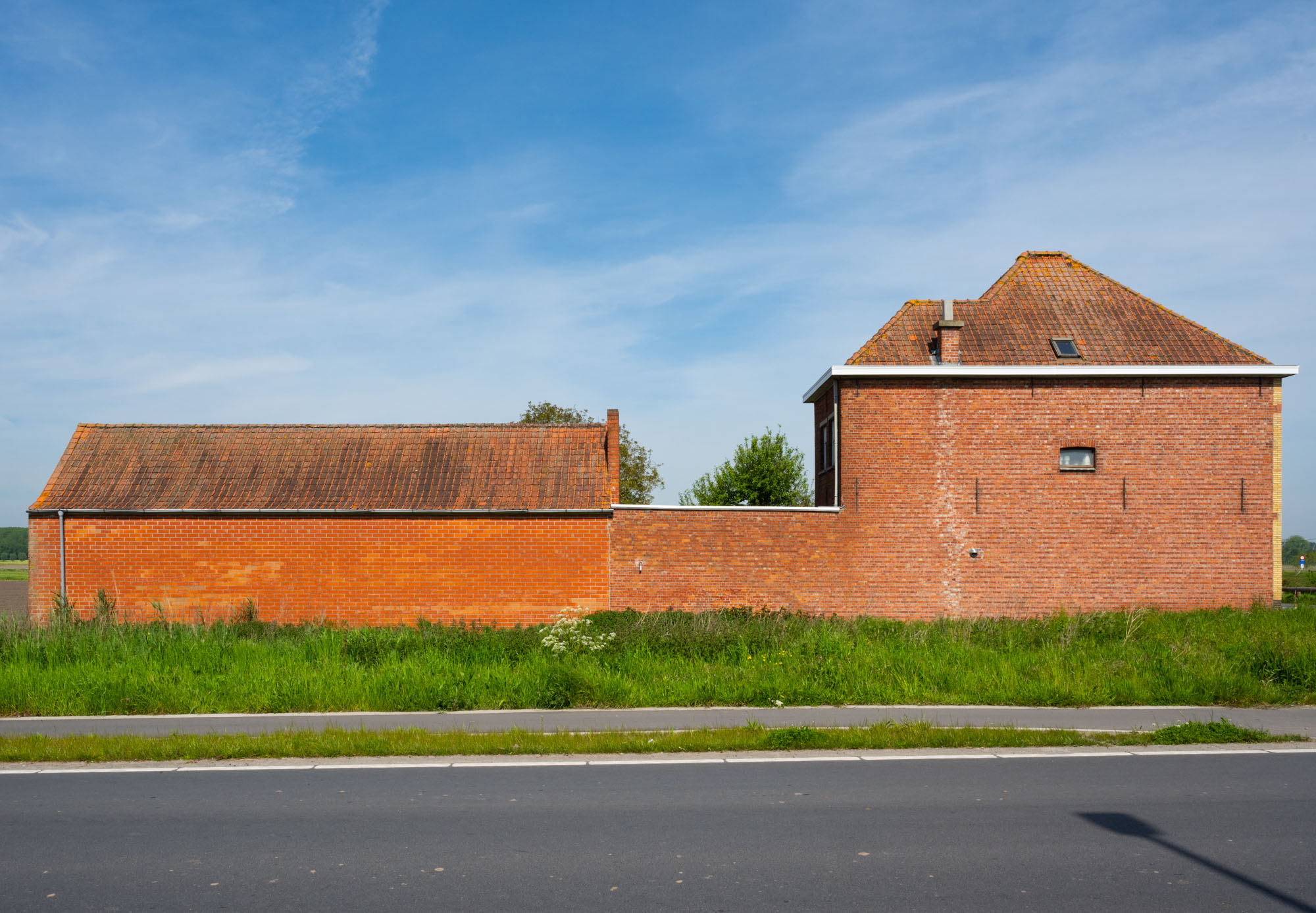 Atropine #004 Atropine #004