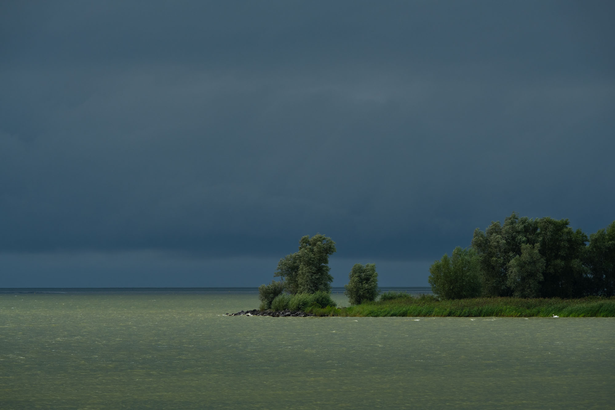 Atropine #006 Atropine #006