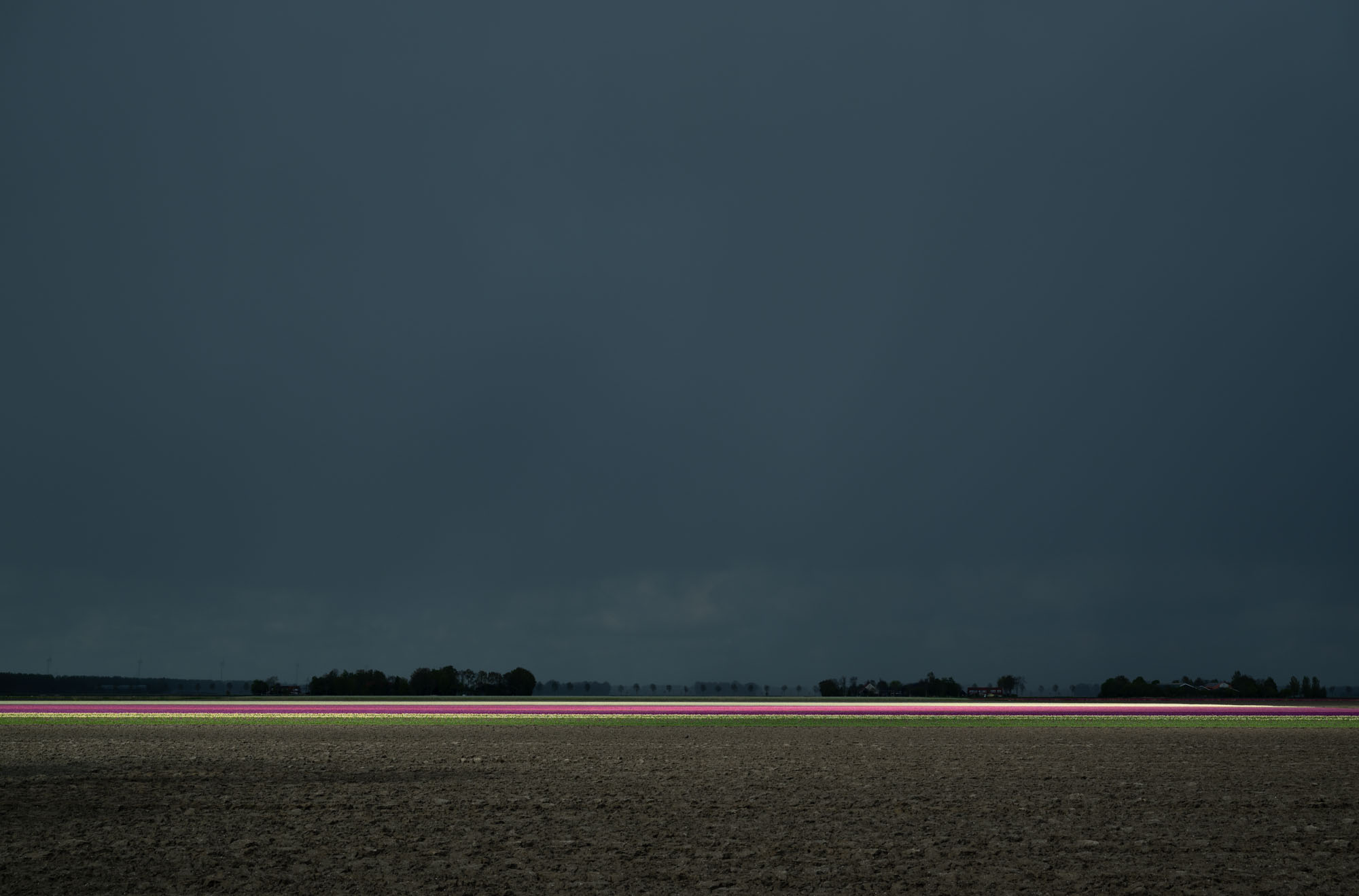 Atropine #010 Atropine #010