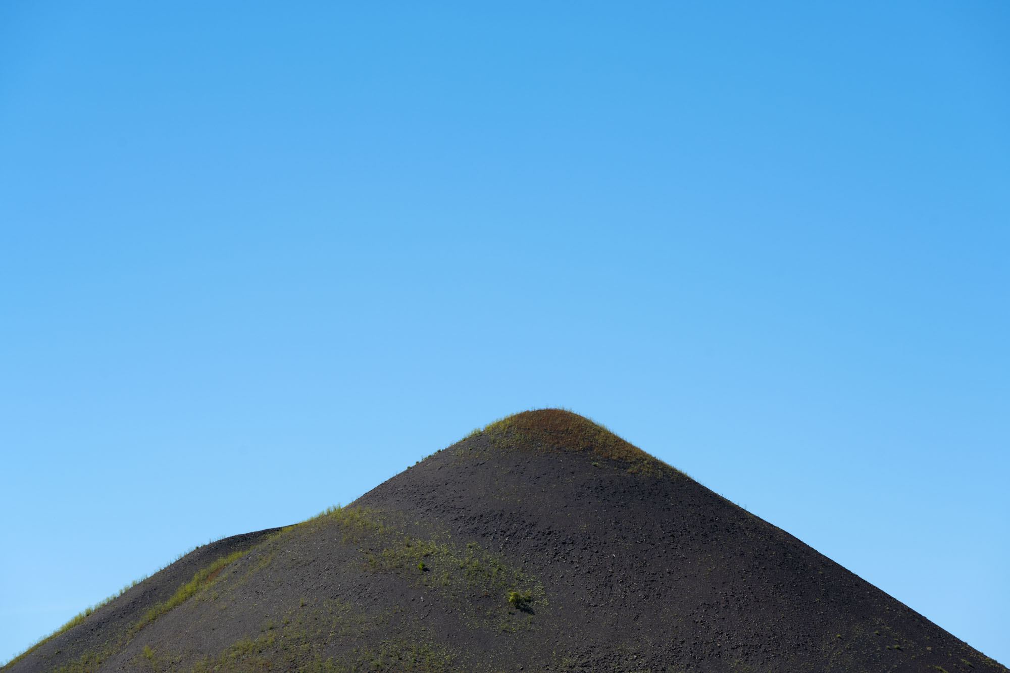 Atropine #014 Atropine #014