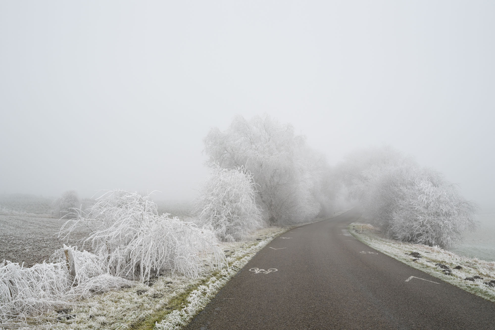 Atropine #015 Atropine #015