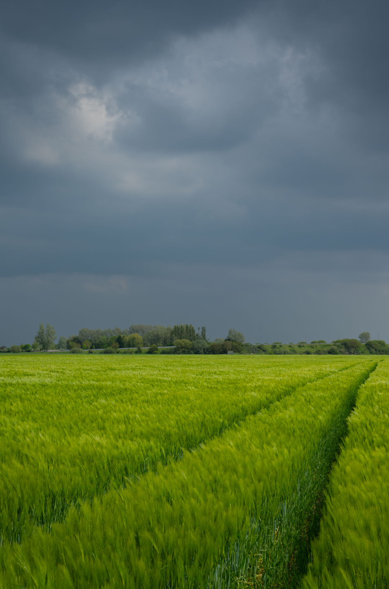 Atropine #016 Atropine #016