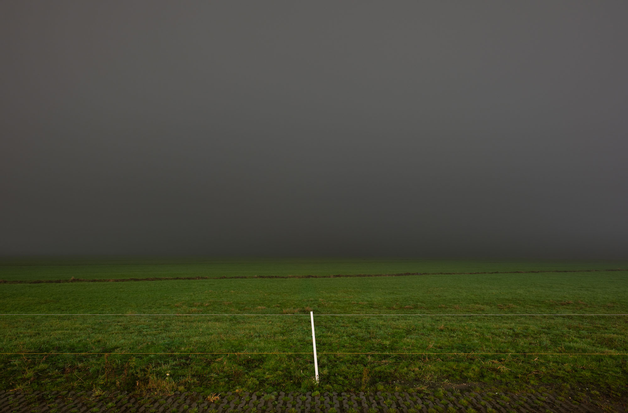 Atropine #020 Atropine #020