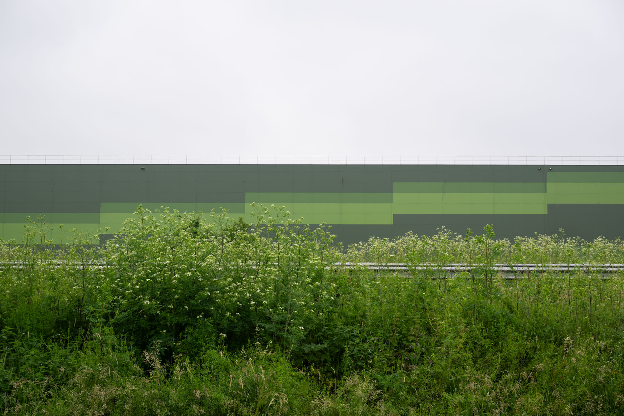 Atropine #022 Atropine #022