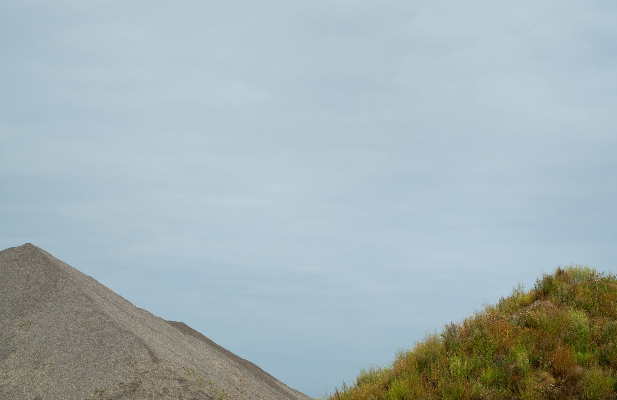 Atropine #023 Atropine #023