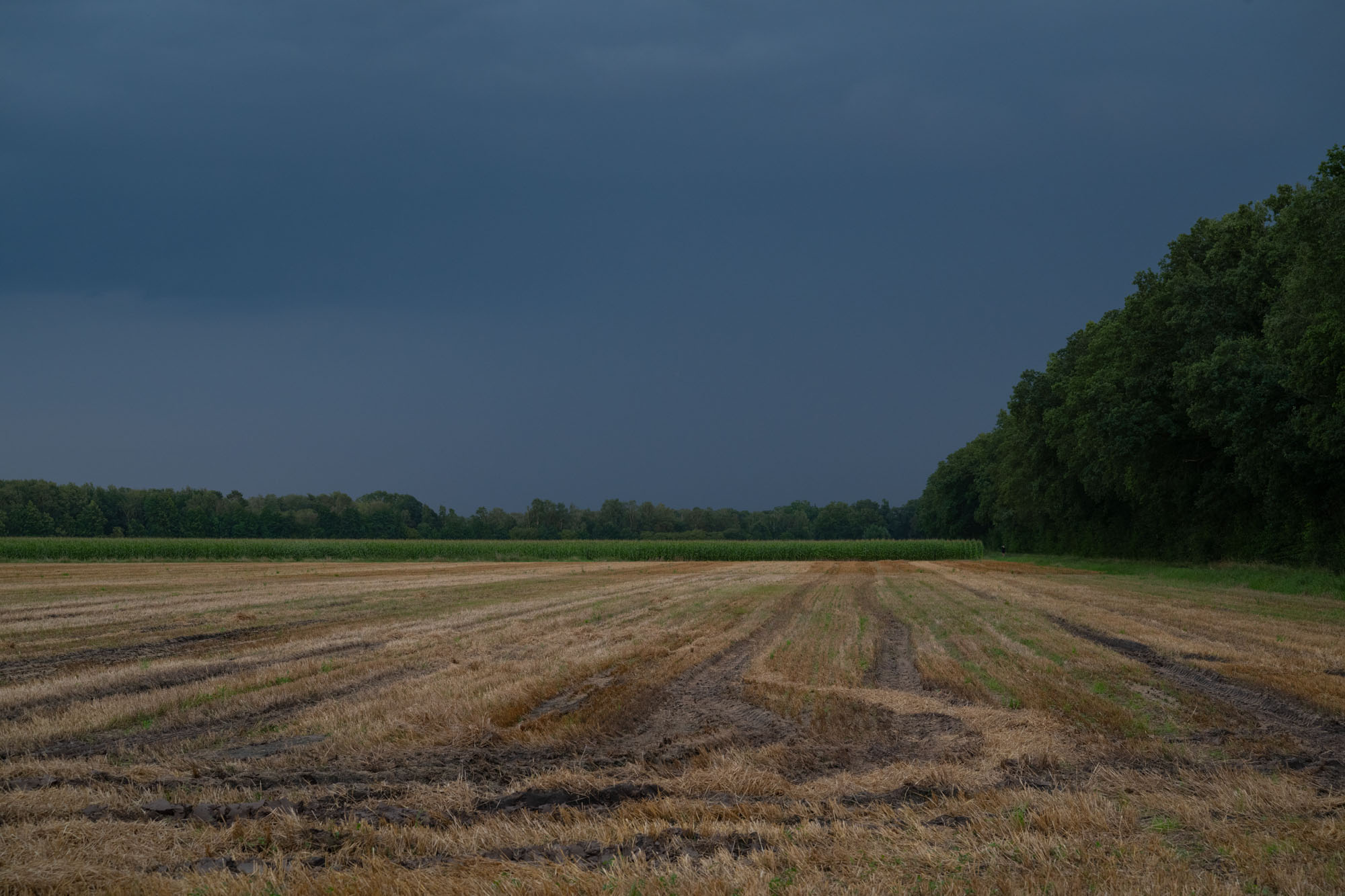 Atropine #026 Atropine #026