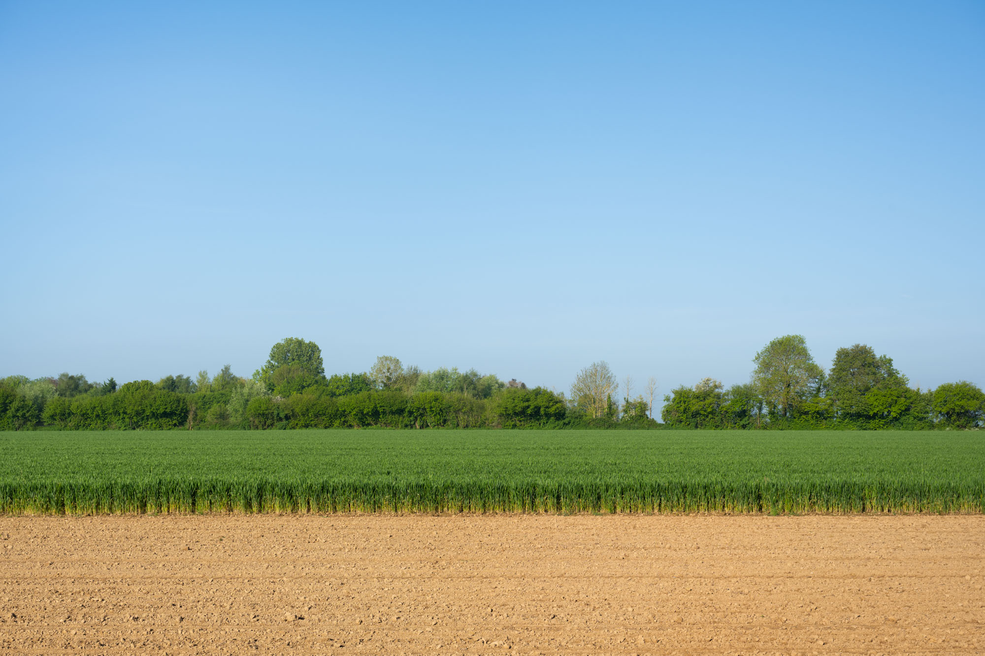 Atropine #030 Atropine #030