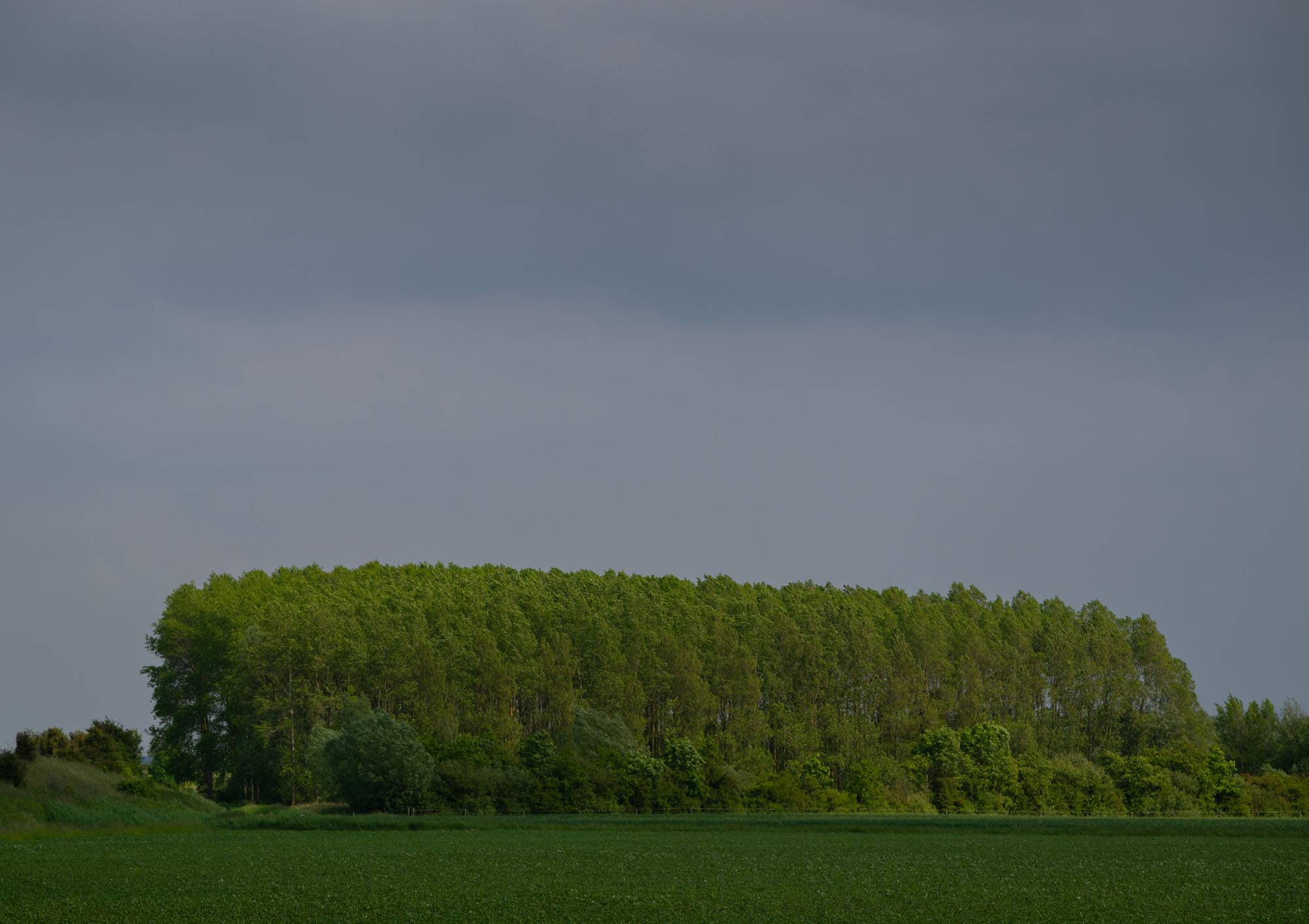 Atropine #034 Atropine #034