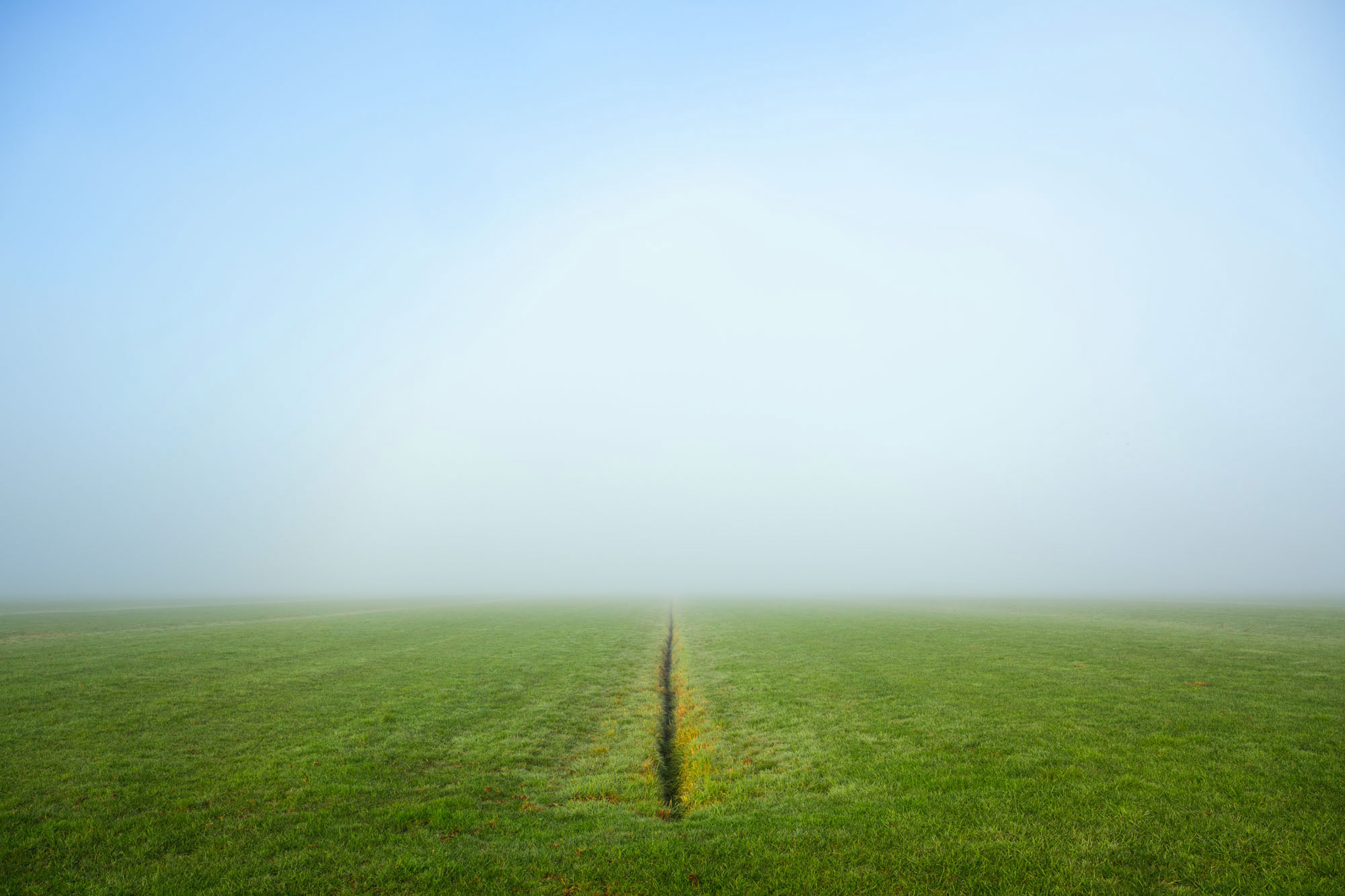 Atropine #036 Atropine #036