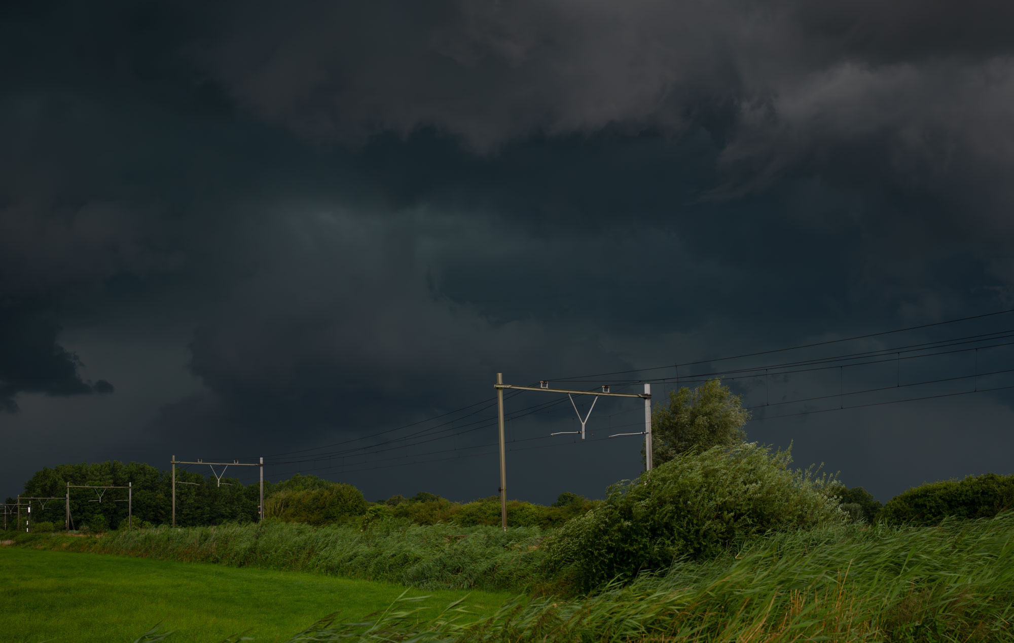 Atropine #037 Atropine #037