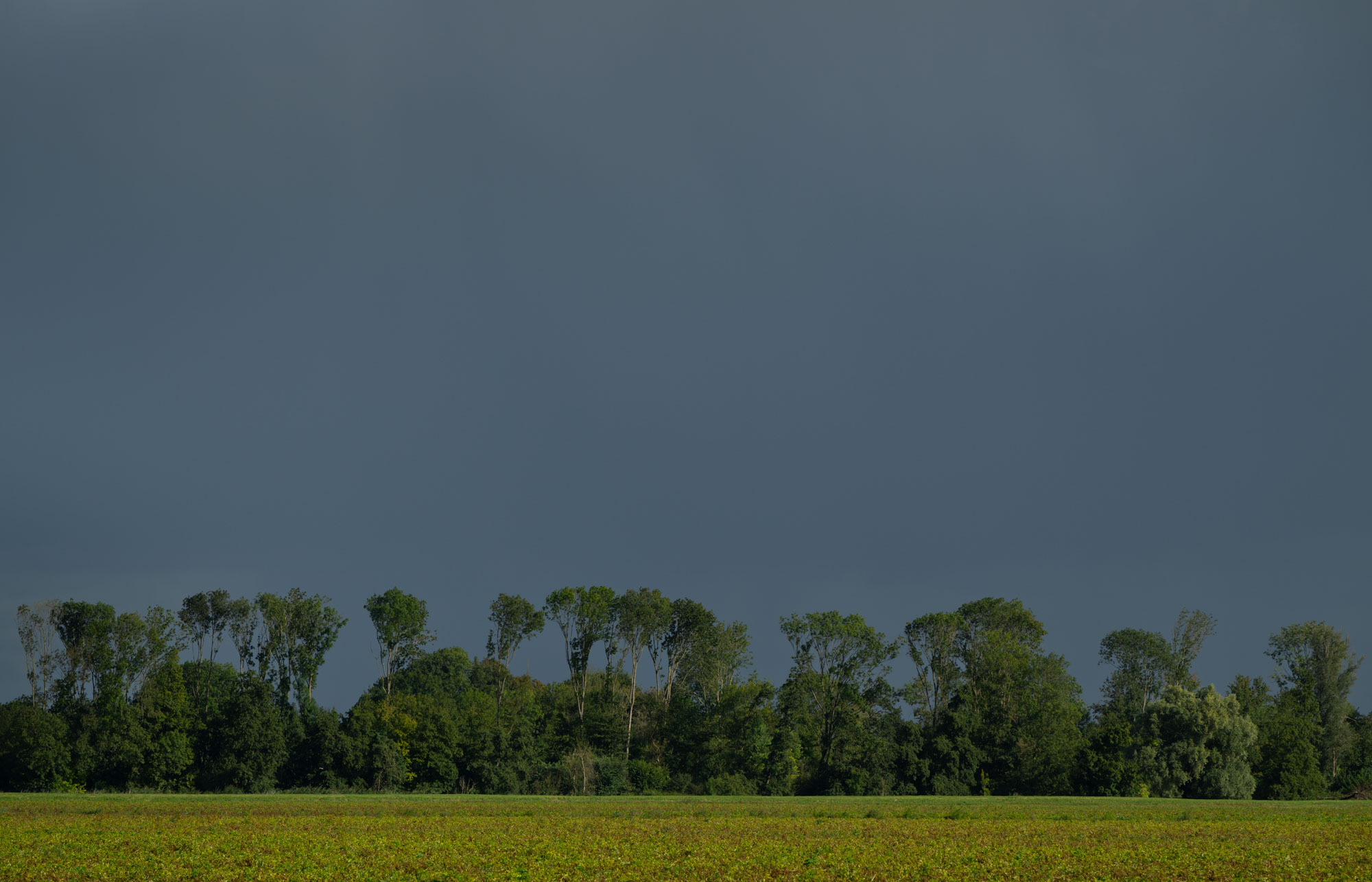 Atropine #039 Atropine #039