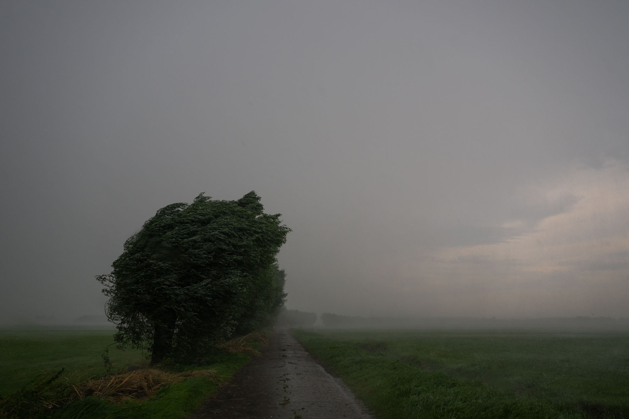 Atropine #041 Atropine #041