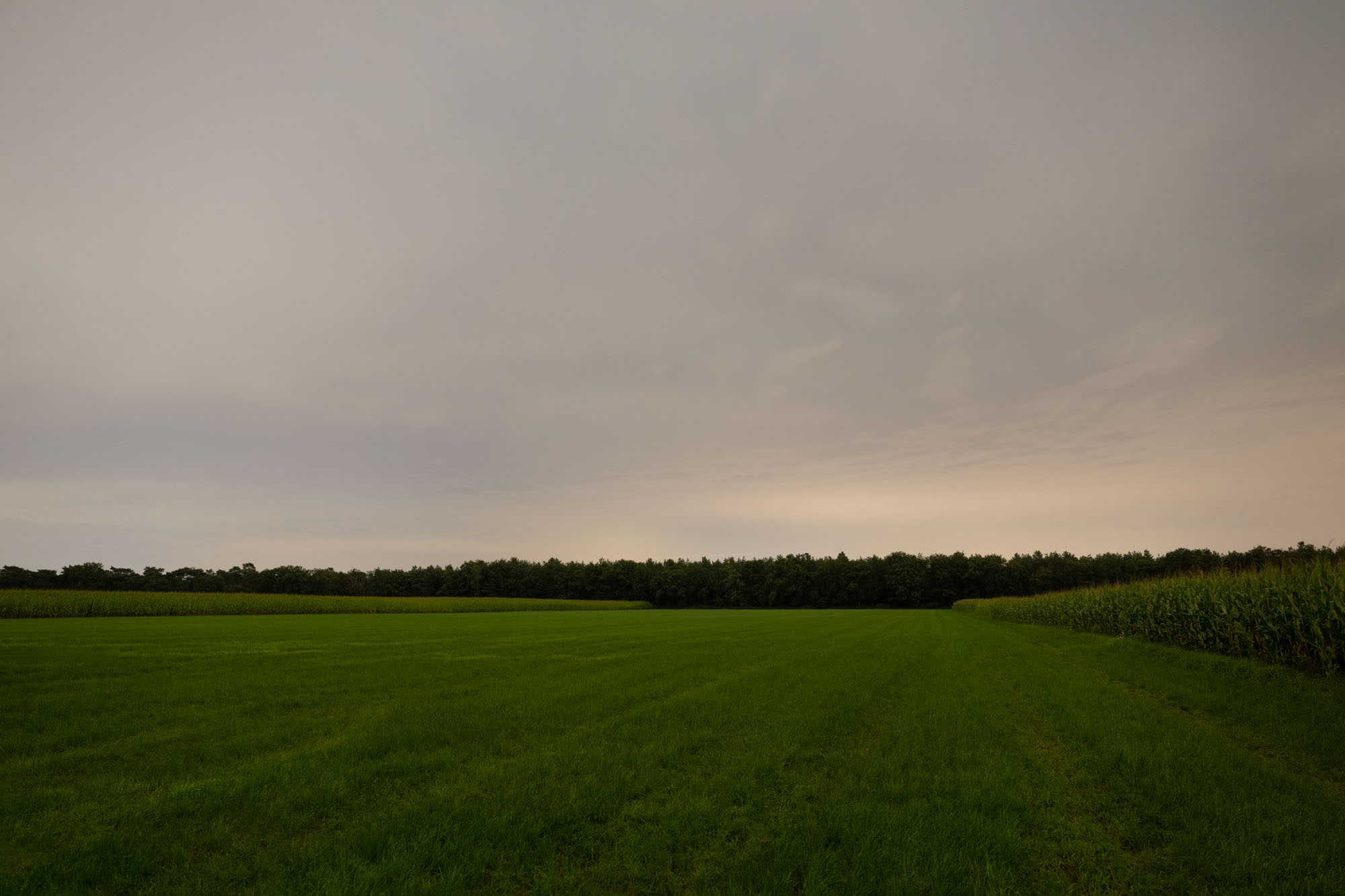 Atropine #044 Atropine #044