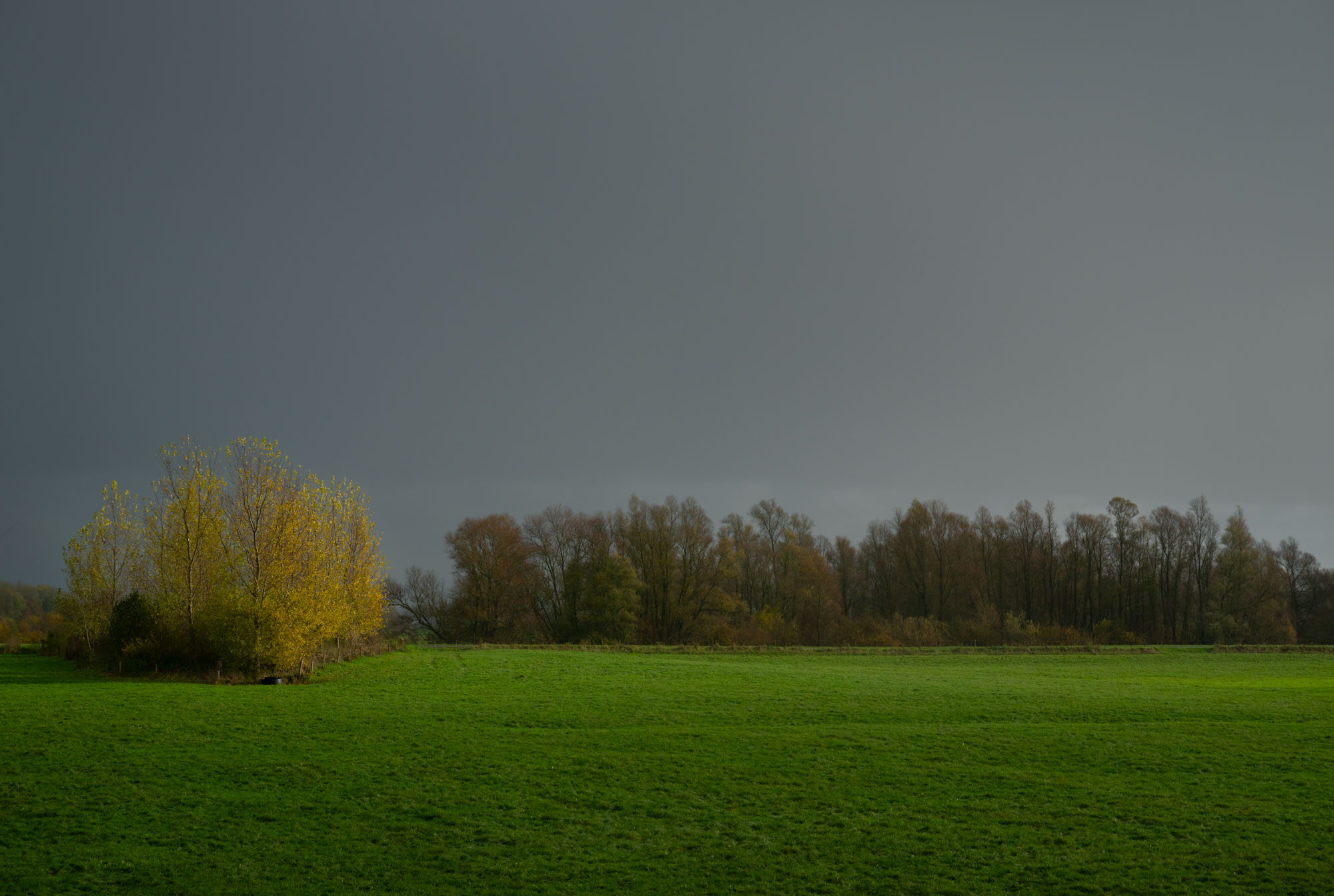 Atropine #045 Atropine #045