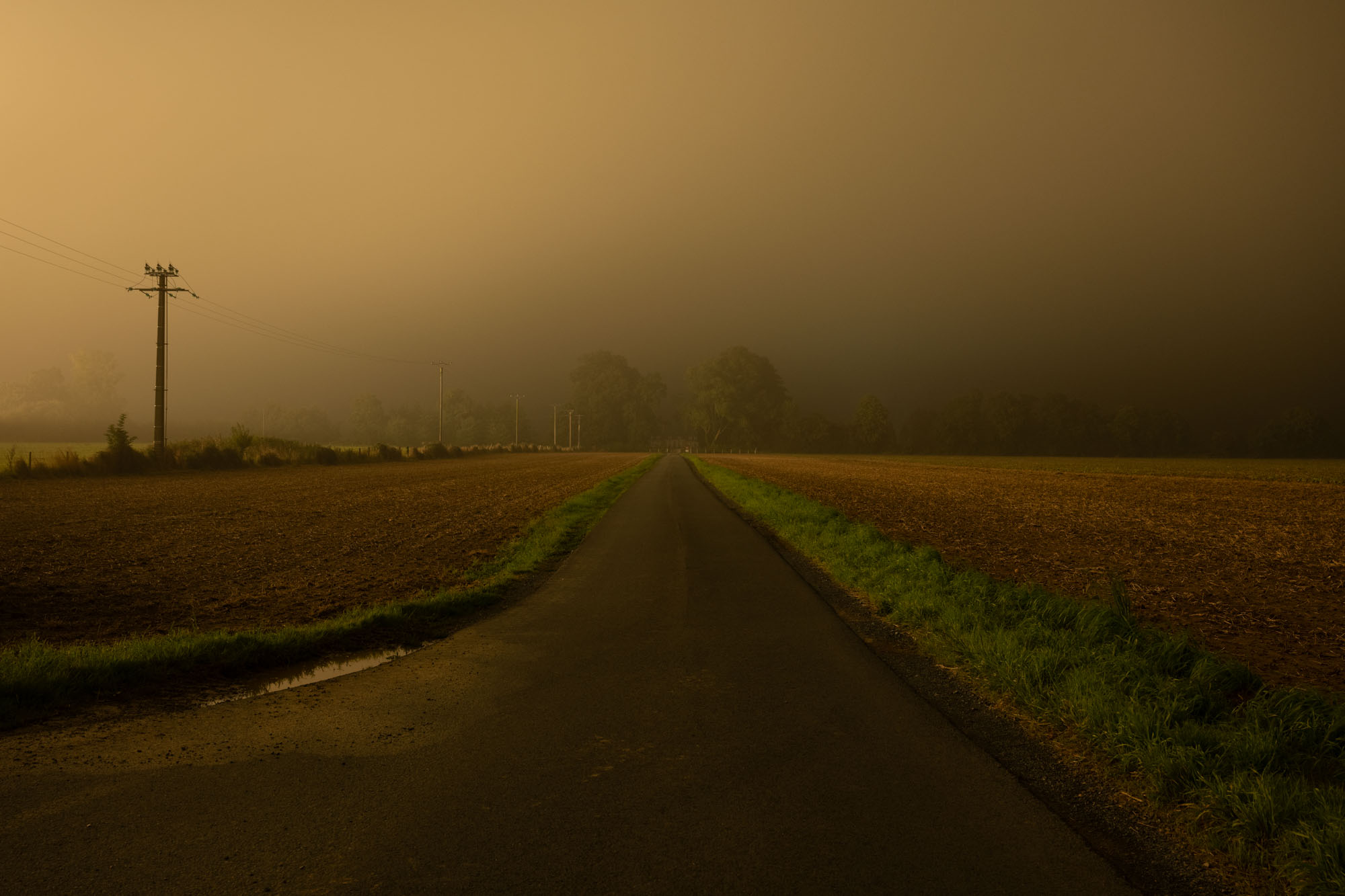 Atropine #001 Atropine #001