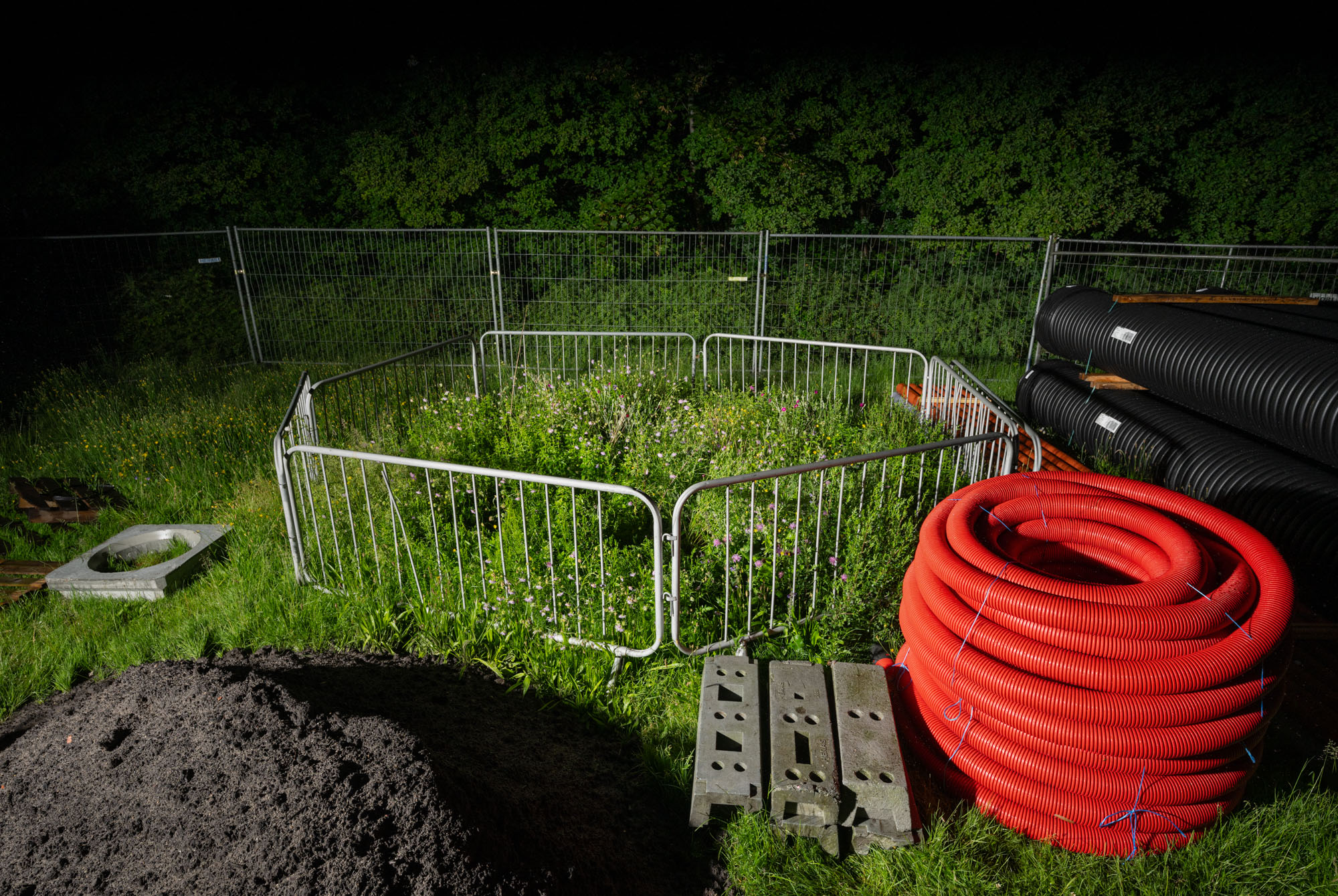 Proto #091 Proto #091