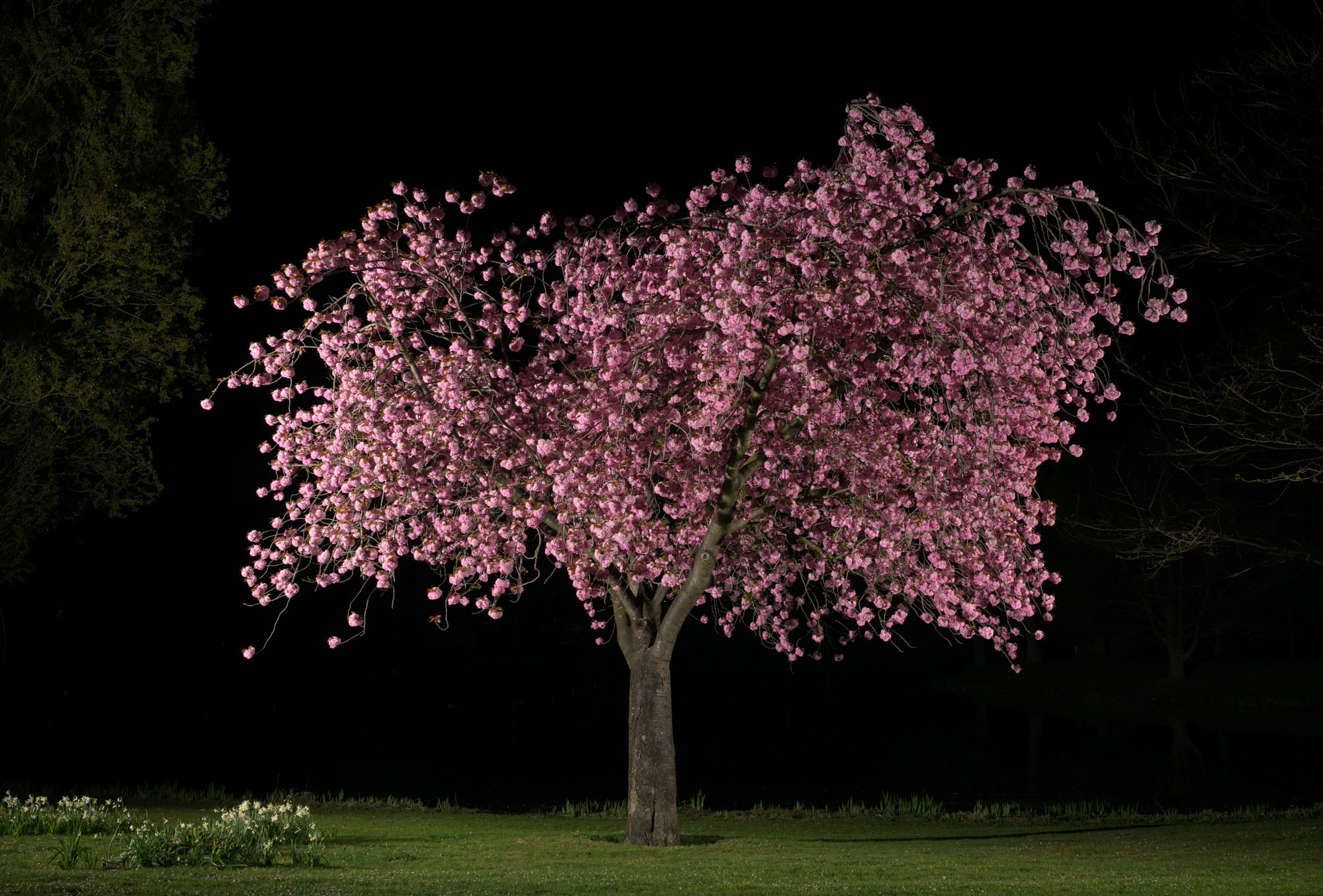 Proto #098 Proto #098