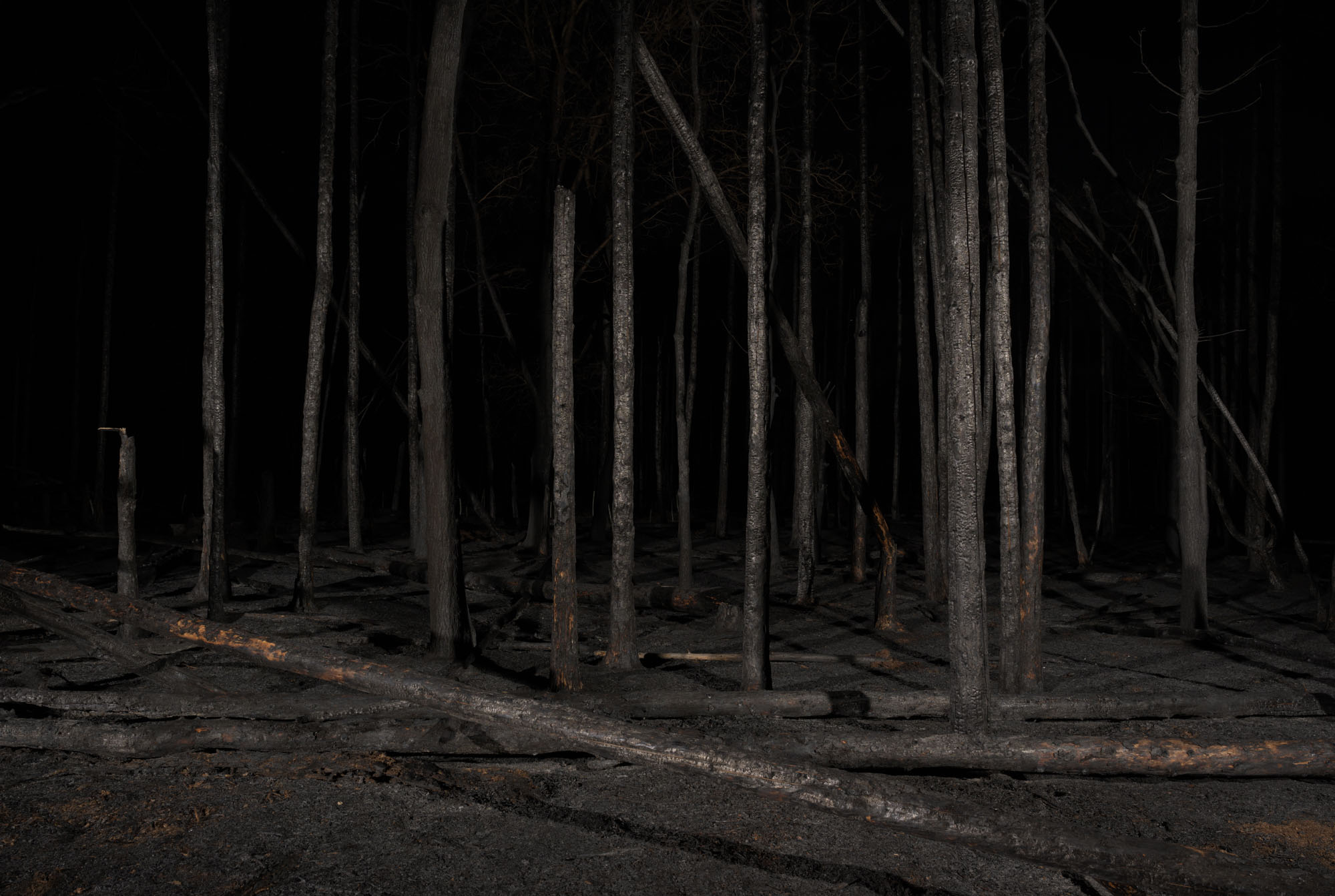 Proto #099 Proto #099