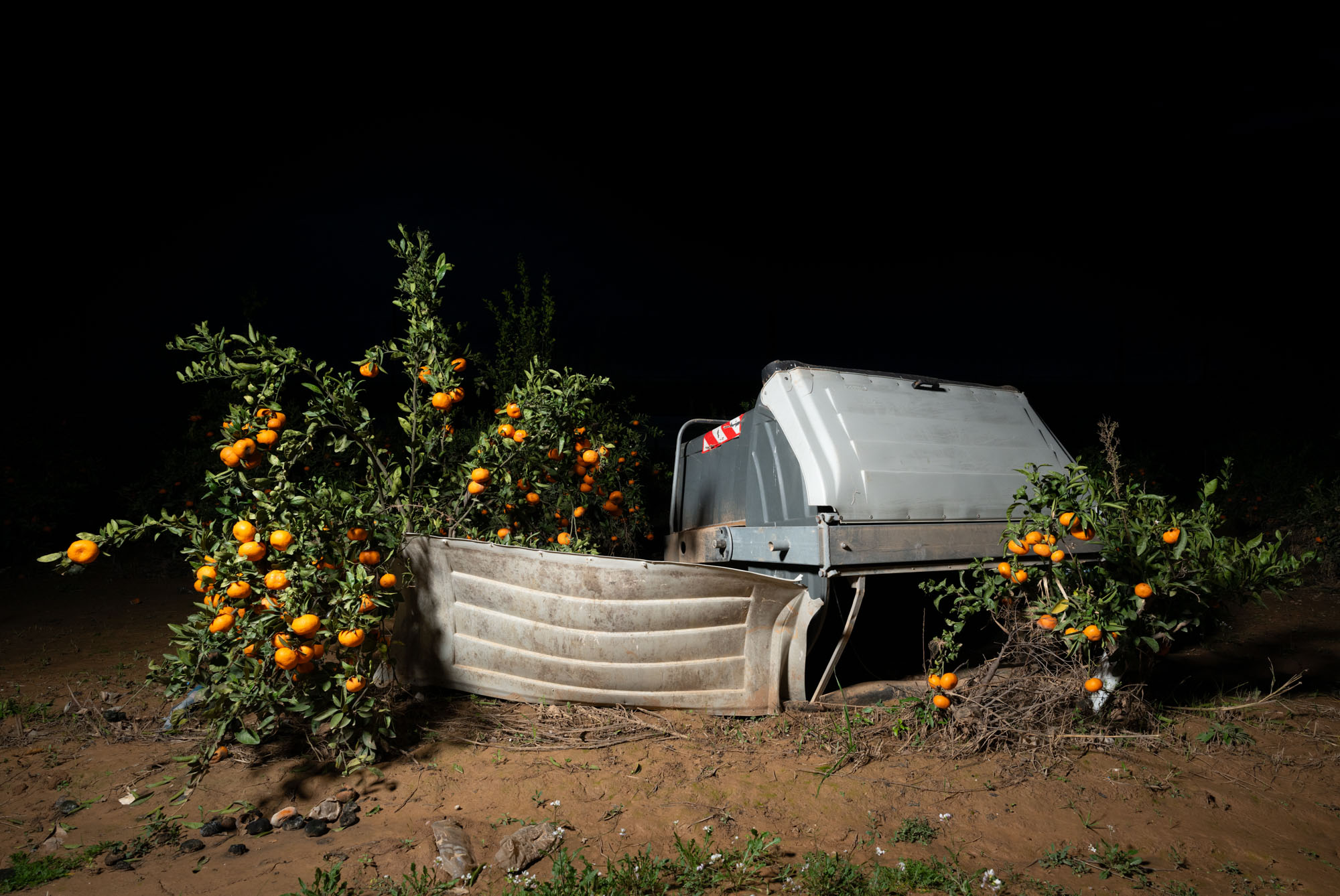 Proto #101 Proto #101