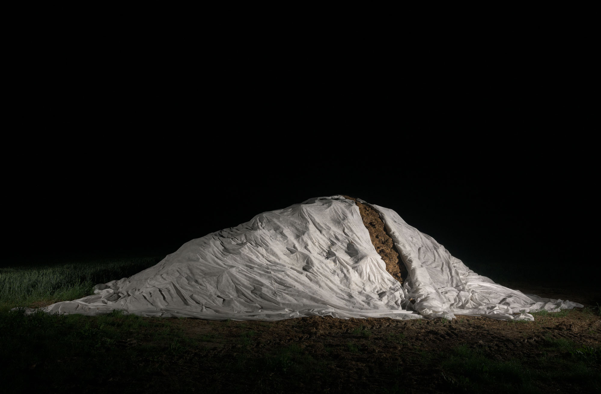 Proto #104 Proto #104