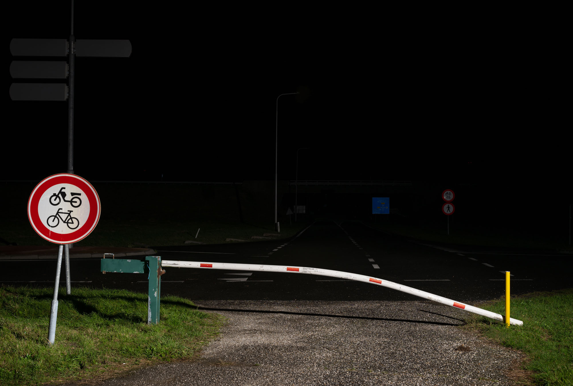 Proto #116 Proto #116