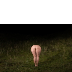 Ameland #01 Ameland #01