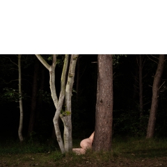 Ameland #02 Ameland #02