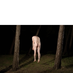 Ameland #03 Ameland #03