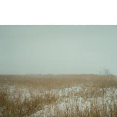 Sneeuw, Kinderdijk, 2009
