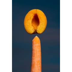 Sexuality #01 Sexuality #01