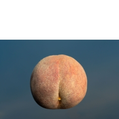 Sexuality #02 Sexuality #02