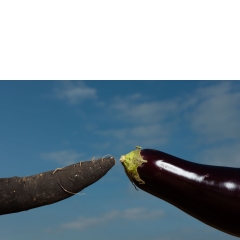 Sexuality #04 Sexuality #04