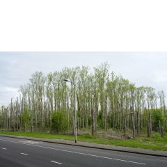 Atropine #002 Atropine #002