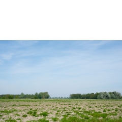 Atropine #005 Atropine #005