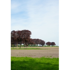 Atropine #008 Atropine #008