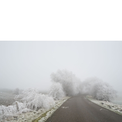 Atropine #015 Atropine #015