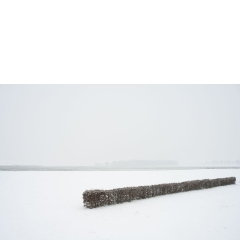 Atropine #019 Atropine #019