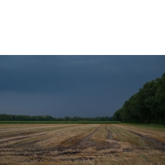 Atropine #026 Atropine #026