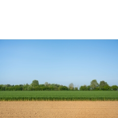 Atropine #030 Atropine #030