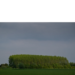 Atropine #034 Atropine #034