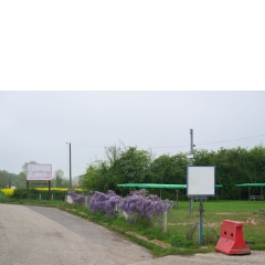 Atropine #035 Atropine #035