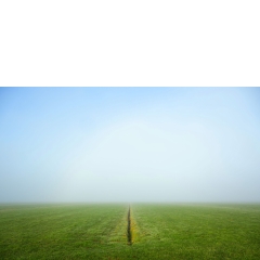 Atropine #036 Atropine #036