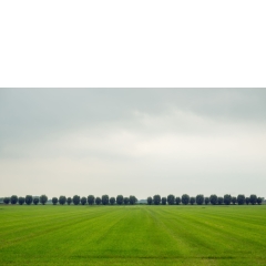 Atropine #038 Atropine #038