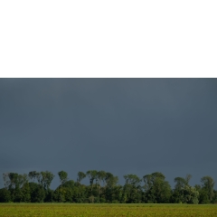 Atropine #039 Atropine #039