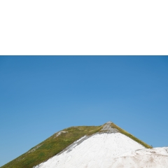 Atropine #040 Atropine #040