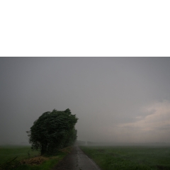 Atropine #041 Atropine #041