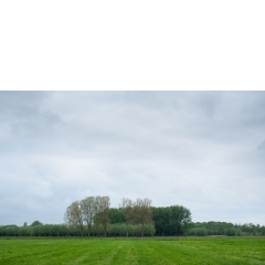 Atropine #043 Atropine #043